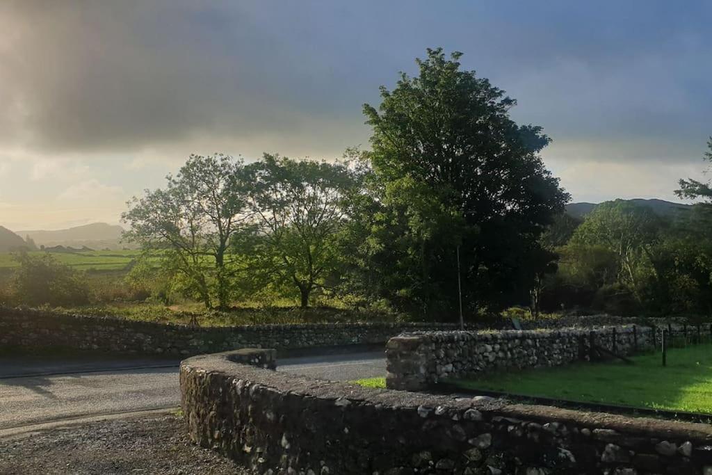 Brynkir Cosy Cottage In Snowdonia מראה חיצוני תמונה