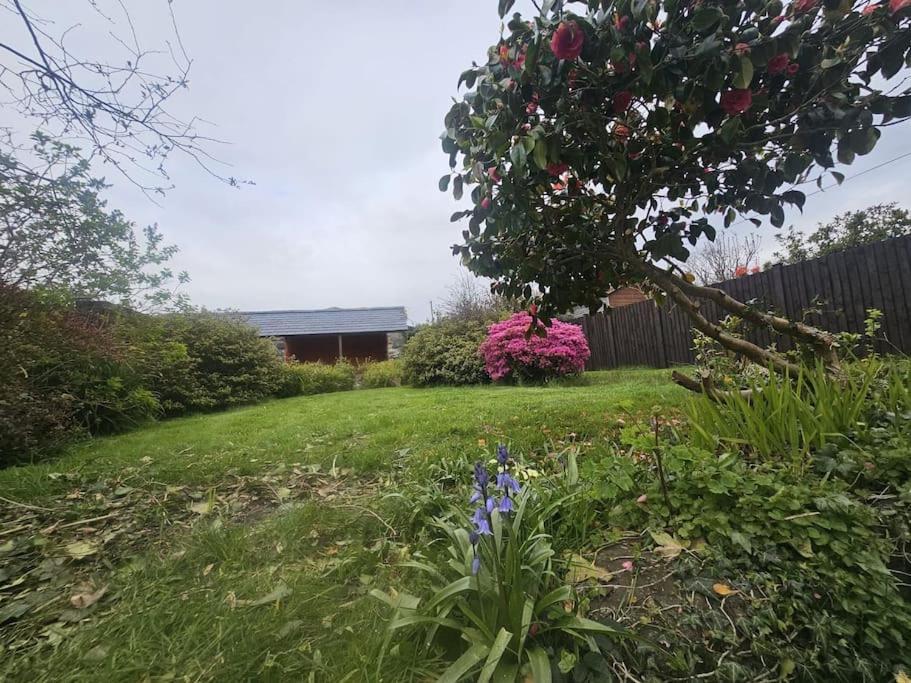 Brynkir Cosy Cottage In Snowdonia מראה חיצוני תמונה